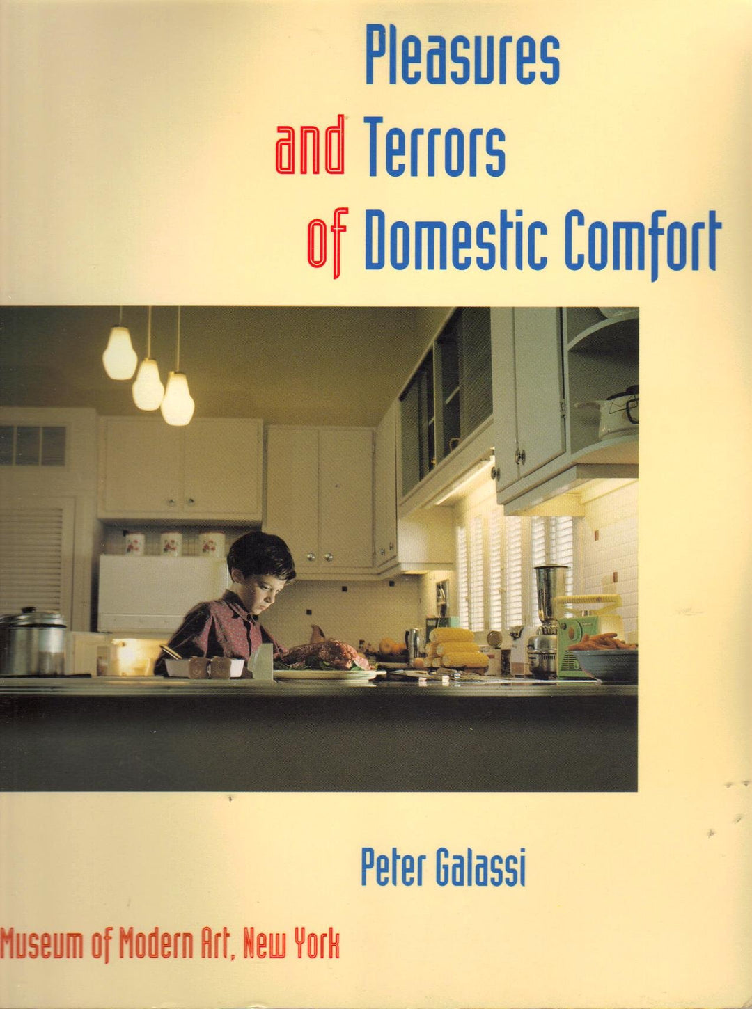 The Pleasures and Terrors of Domestic Comfort by Peter Galassi