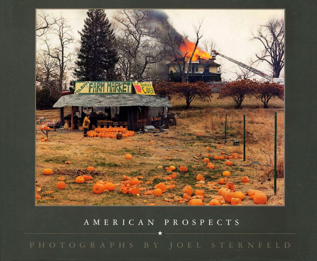 American Prospects by Joel Sternfeld